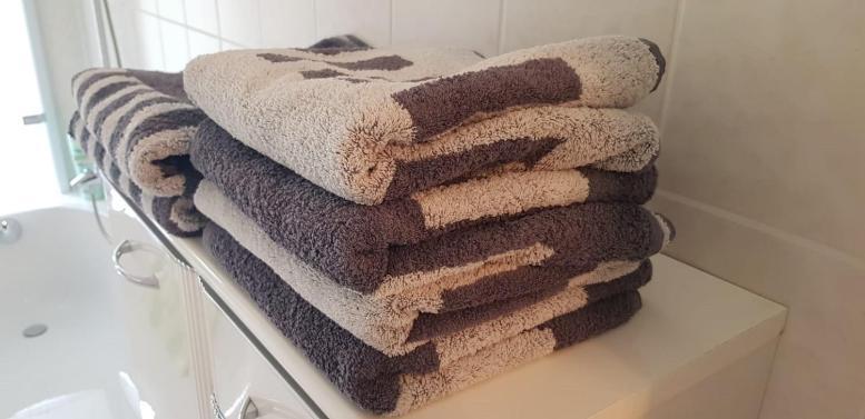 Ferienwohnung An Der Elbfaehre Dresden Exteriör bild